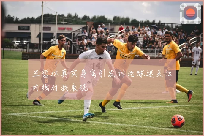 王哲林真实身高引发讨论球迷关注内线对抗表现